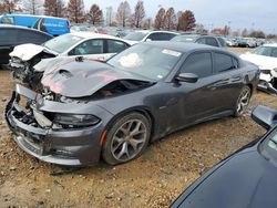 Dodge Charger salvage cars for sale: 2015 Dodge Charger R/T