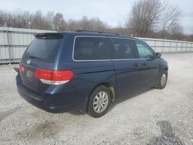 2010 Honda Odyssey EXL