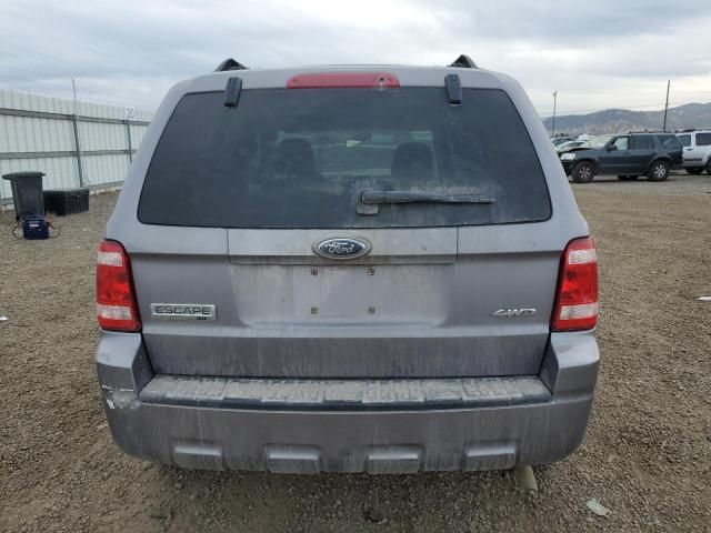 2008 Ford Escape XLT