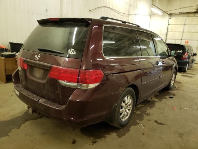 2008 Honda Odyssey EXL