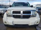 2009 Dodge Nitro SE