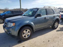 Salvage cars for sale at Lebanon, TN auction: 2011 Ford Escape Hybrid