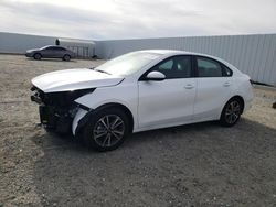 Vehiculos salvage en venta de Copart Adelanto, CA: 2023 KIA Forte LX