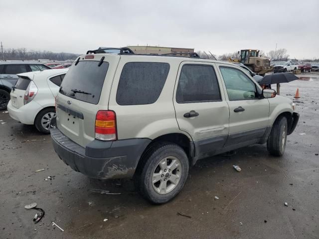 2006 Ford Escape XLT