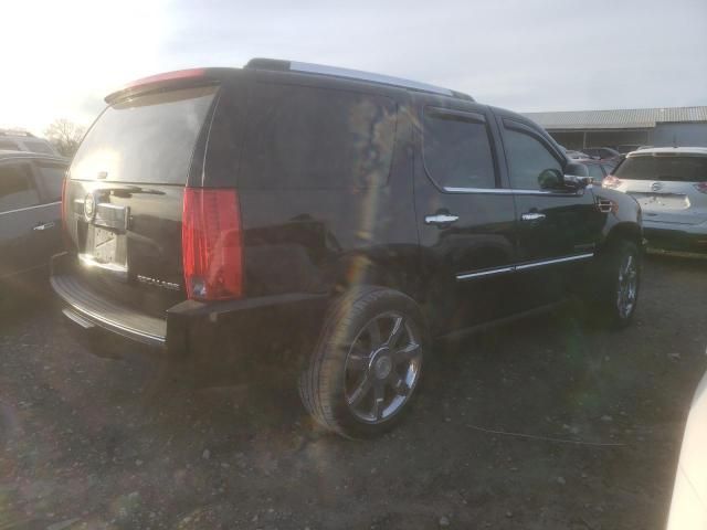 2008 Cadillac Escalade Luxury