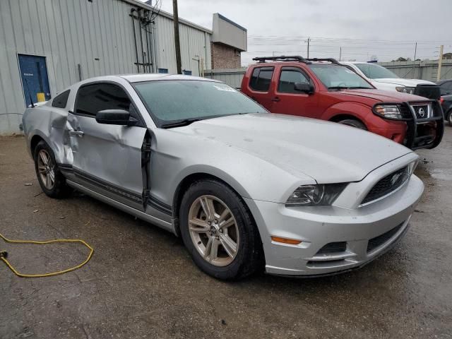 2013 Ford Mustang