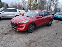 Salvage cars for sale at Portland, OR auction: 2021 Ford Escape SEL