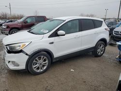 Ford salvage cars for sale: 2017 Ford Escape SE