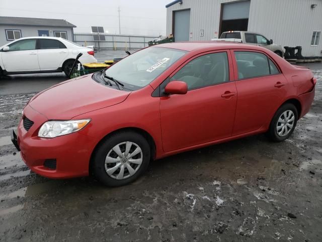 2010 Toyota Corolla Base