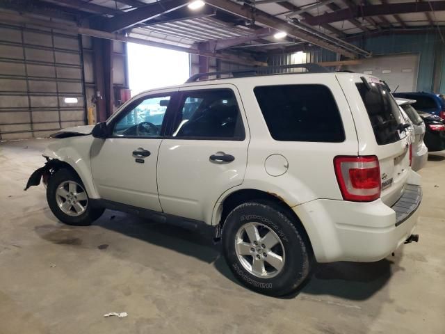 2011 Ford Escape XLT