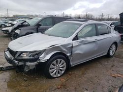 Salvage cars for sale at Louisville, KY auction: 2013 Honda Accord EXL