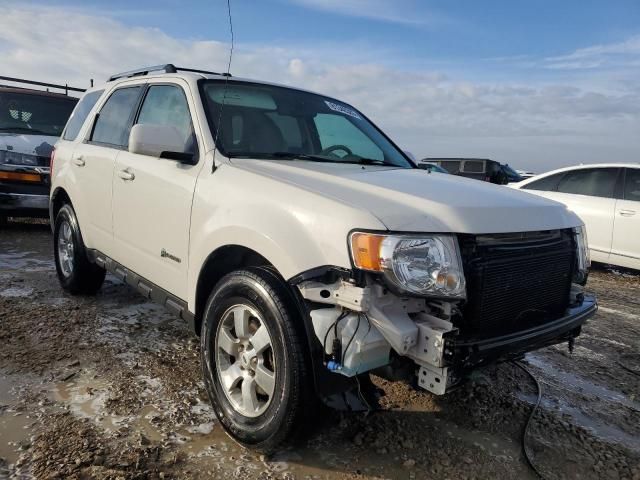 2009 Ford Escape Hybrid