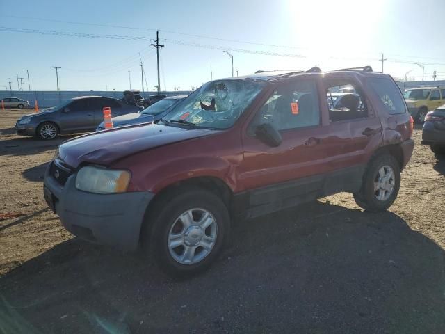 2004 Ford Escape XLT