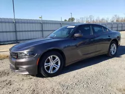 Salvage cars for sale at Lumberton, NC auction: 2019 Dodge Charger SXT