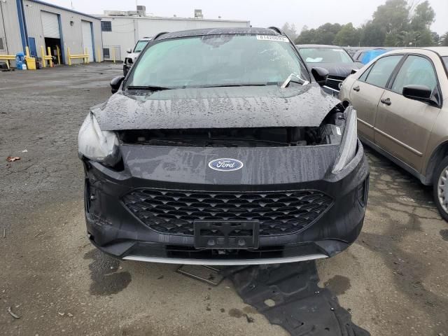 2020 Ford Escape SE Sport