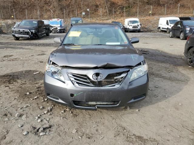 2009 Toyota Camry Hybrid