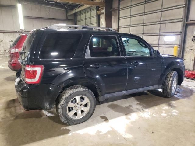 2010 Ford Escape Limited