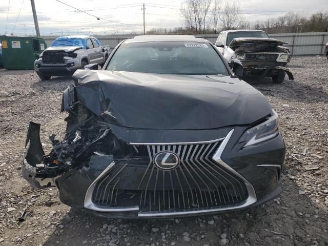 2019 Lexus ES 350