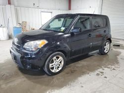 Salvage cars for sale from Copart Albany, NY: 2011 KIA Soul +