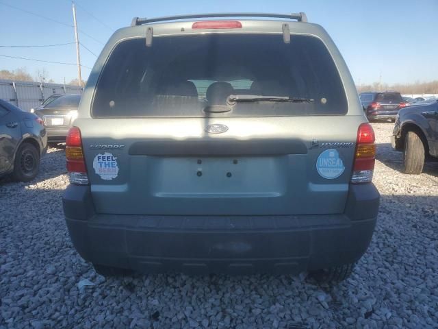 2006 Ford Escape HEV