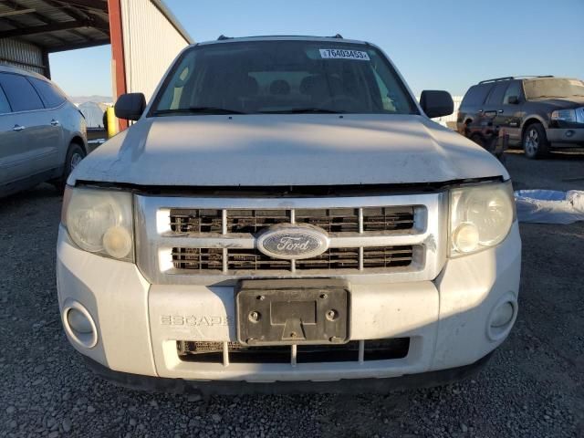 2009 Ford Escape XLT