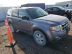 2008 Ford Escape XLT