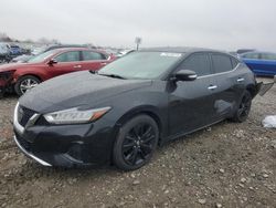 Nissan salvage cars for sale: 2020 Nissan Maxima SV