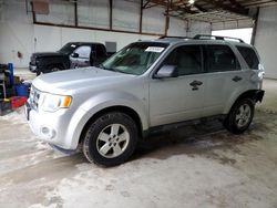 Salvage cars for sale from Copart Lexington, KY: 2010 Ford Escape XLT