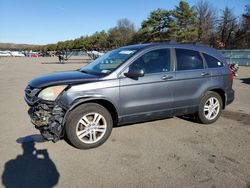 Salvage cars for sale at Brookhaven, NY auction: 2010 Honda CR-V EXL