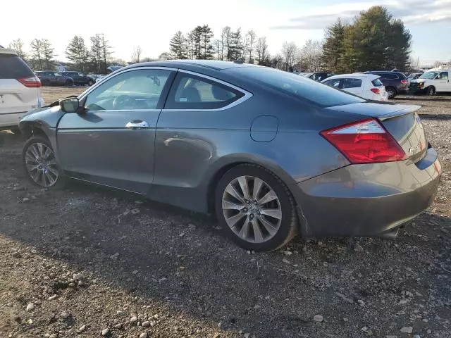 2008 Honda Accord EXL