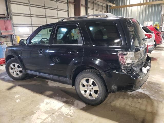 2010 Ford Escape Limited