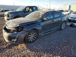 Salvage cars for sale at Phoenix, AZ auction: 2015 KIA Optima EX