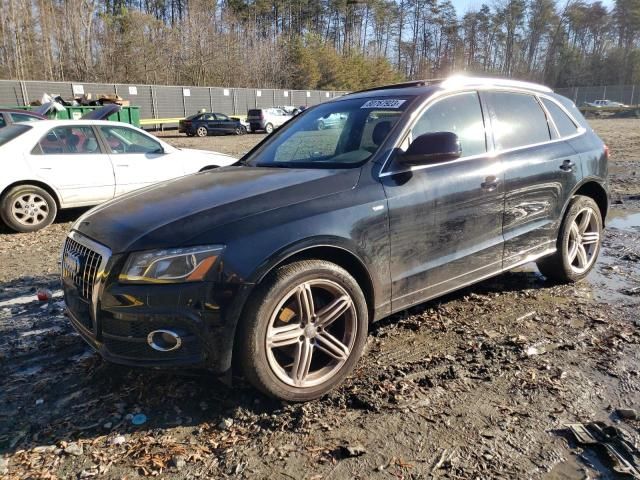 2010 Audi Q5 Premium Plus