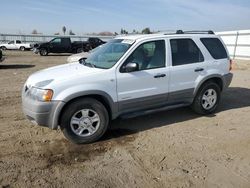 Ford salvage cars for sale: 2001 Ford Escape XLT