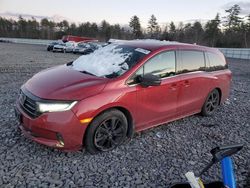 Honda salvage cars for sale: 2023 Honda Odyssey SPORT-L