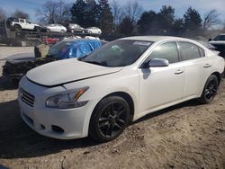 Nissan Maxima S salvage cars for sale: 2011 Nissan Maxima S