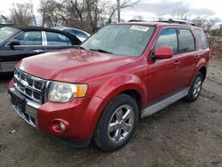Salvage cars for sale at Baltimore, MD auction: 2009 Ford Escape Limited