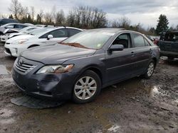 Salvage cars for sale from Copart Portland, OR: 2008 Toyota Camry Hybrid