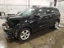 Salvage cars for sale at Avon, MN auction: 2014 Ford Escape SE