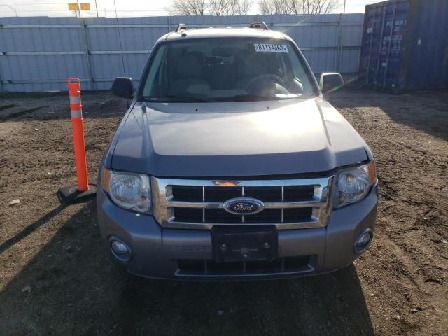 2008 Ford Escape XLT