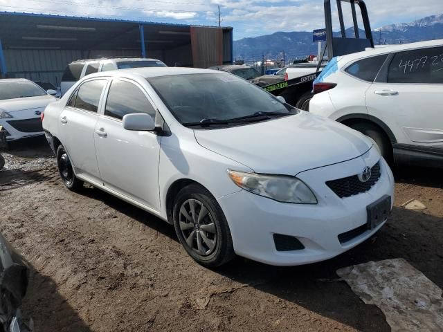 2010 Toyota Corolla Base