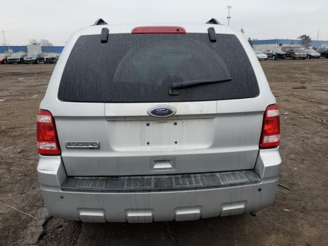 2010 Ford Escape XLT