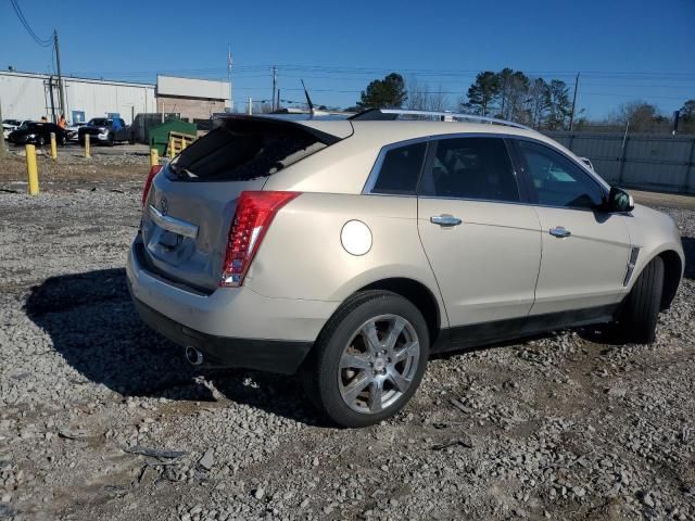 2010 Cadillac SRX Performance Collection