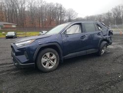 Toyota Rav4 XLE salvage cars for sale: 2023 Toyota Rav4 XLE