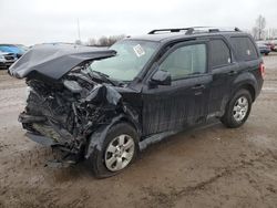 Salvage cars for sale from Copart Davison, MI: 2010 Ford Escape Limited