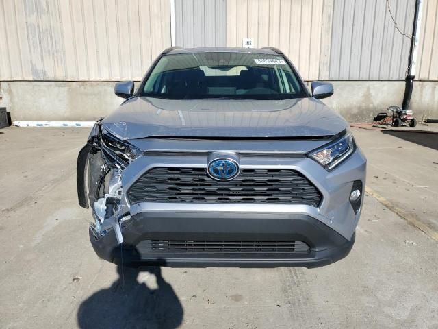 2019 Toyota Rav4 XLE