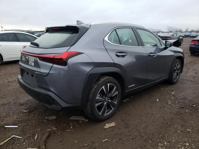 2019 Lexus UX 250H