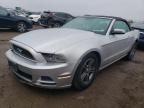 2013 Ford Mustang