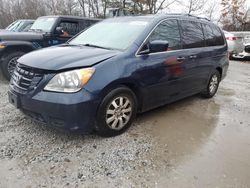 Salvage cars for sale at North Billerica, MA auction: 2009 Honda Odyssey EX