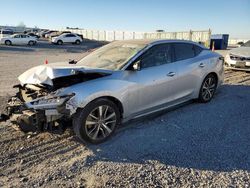 Salvage cars for sale at Earlington, KY auction: 2019 Nissan Maxima S
